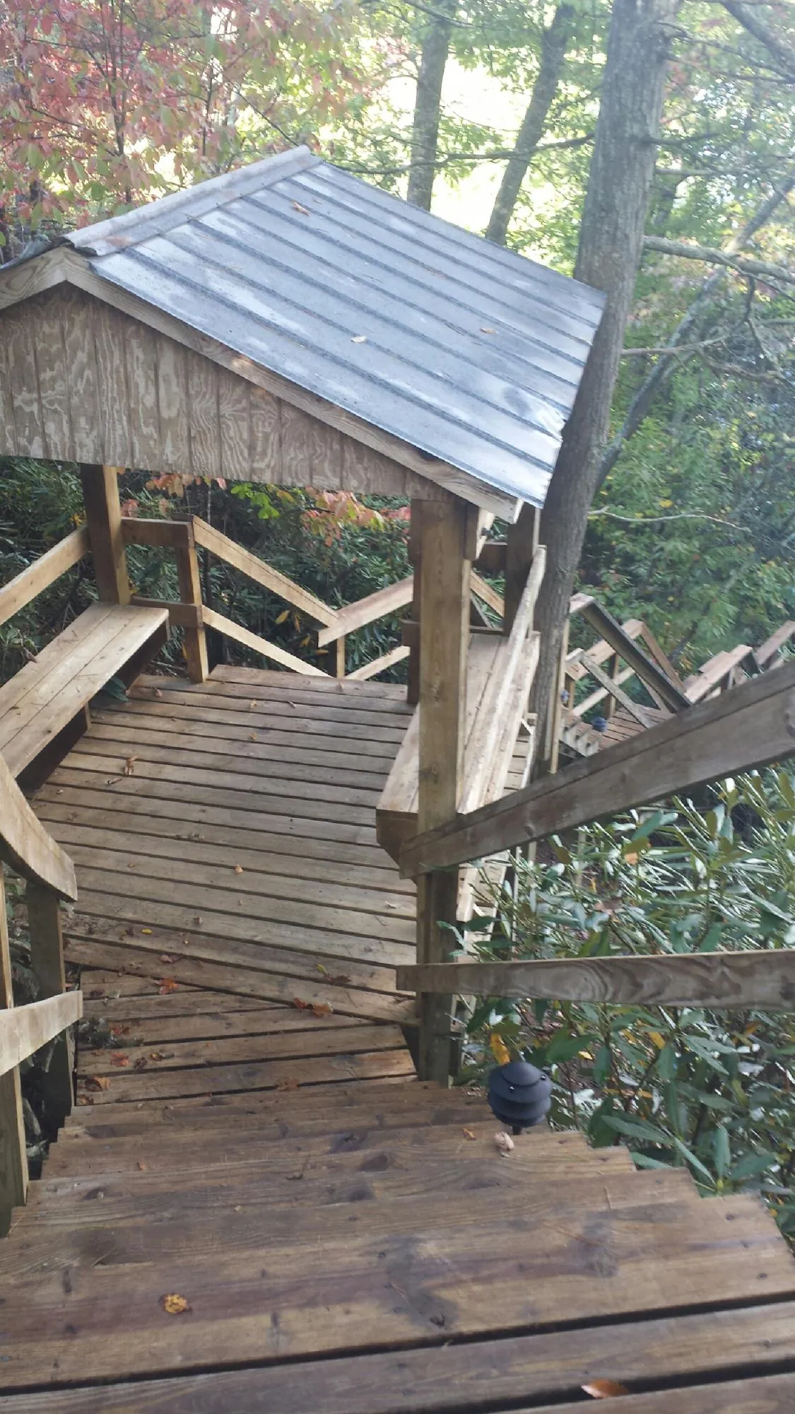 Metal roofed shelter over wooden steps on a wooded walkway — Skylight Repair & Installation work by our crew in Lynwood
