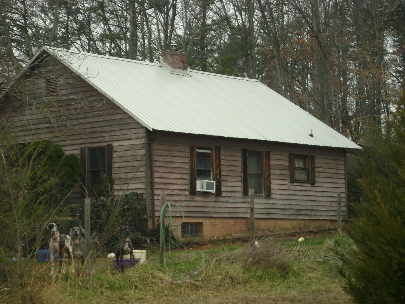 White metal roof on an old wood sided farmhouse, from a Metal Roof Installation job in Lynwood